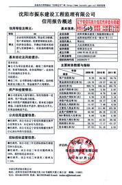 沈阳市振东建设工程监理有限公司 专业护航，铸就精品工程